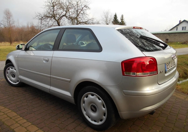 Audi A3 cena 11900 przebieg: 220000, rok produkcji 2004 z Kolbuszowa małe 407